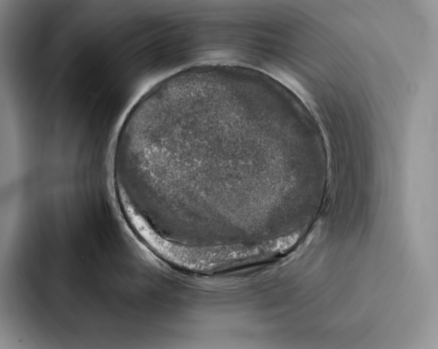 X0000086891392200705141614