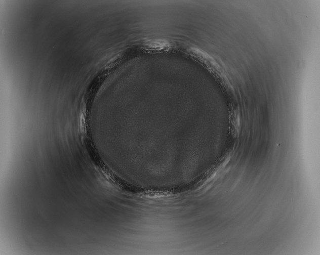 X0000086891394200705141613