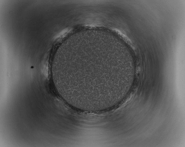 X0000086891398200705141613