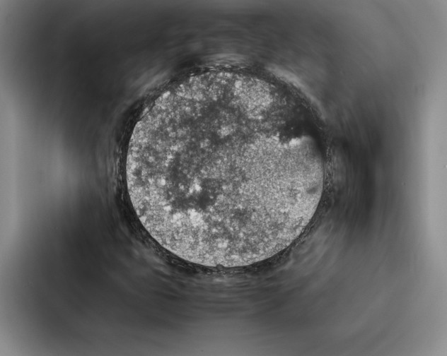 X0000086891399200705141613