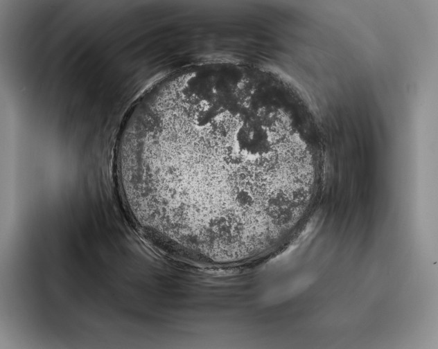 X0000086891401200705141613