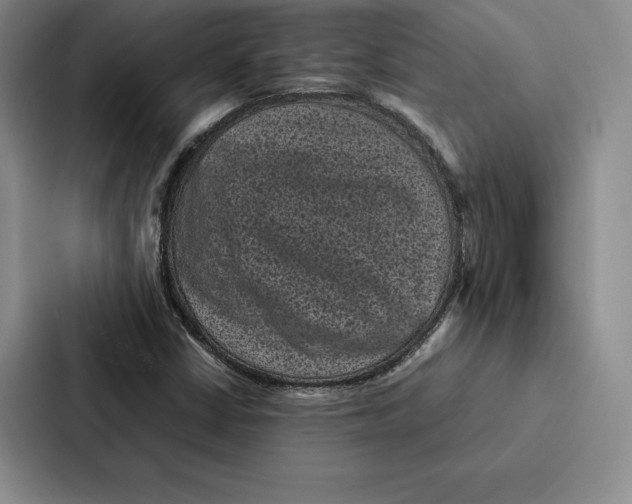 X0000086891402200705141613