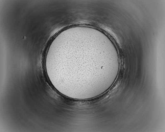 X0000086891404200705141613