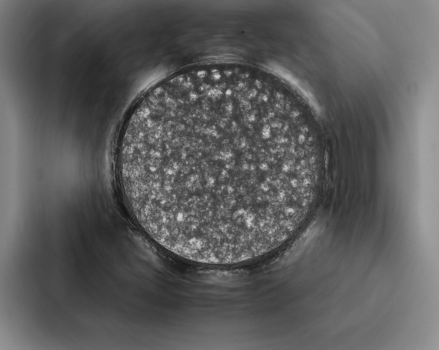 X0000086891405200705141613