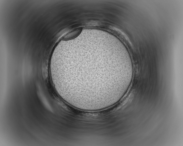 X0000086891409200705141613