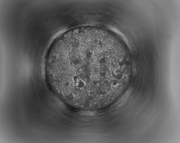 X0000086891411200705141613