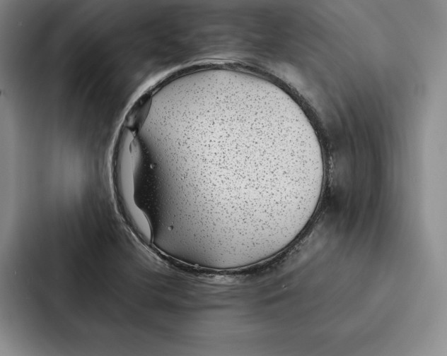 X0000086891412200705141613