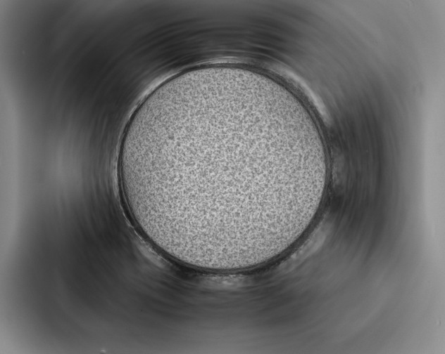 X0000086891417200705141613