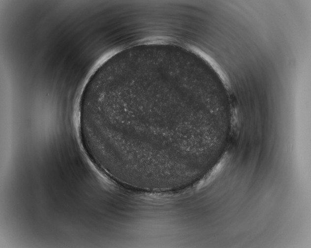 X0000086891418200705141613