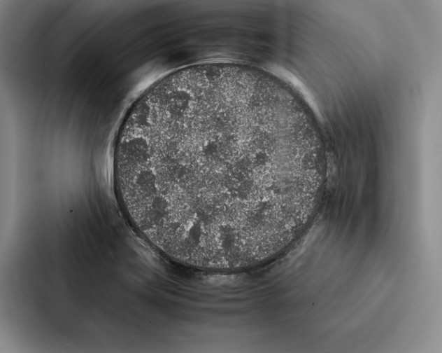 X0000086891419200705141613