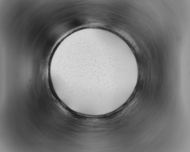 X0000086891420200705141613