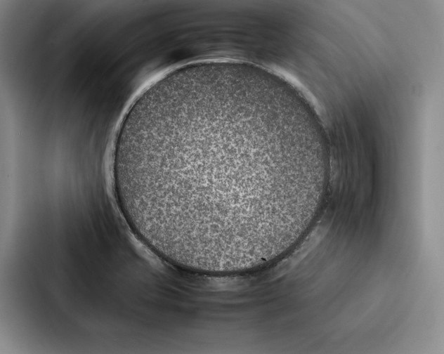 X0000086891421200705141613