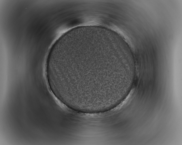 X0000086891422200705141613