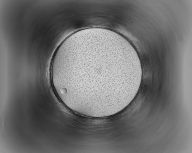 X0000086891423200705141613