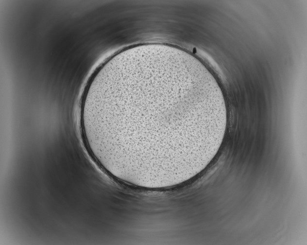 X0000086891424200705141613