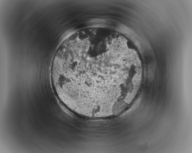 X0000086891425200705141614