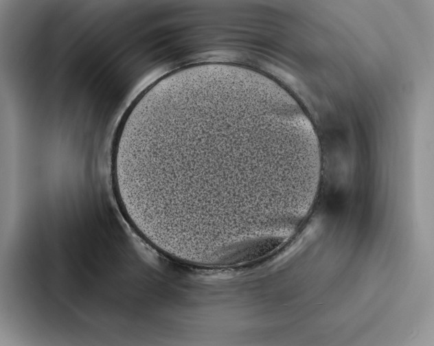 X0000086891426200705141614