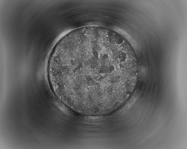 X0000086891427200705141614