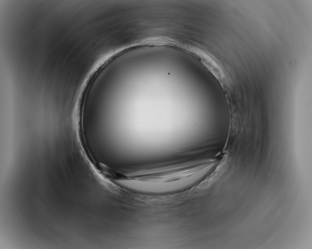 X0000086891430200705141614