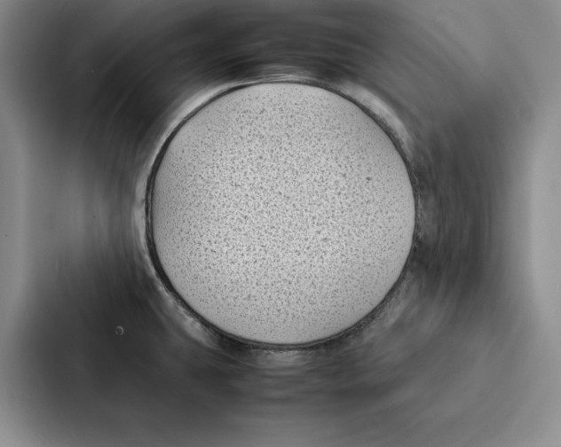 X0000086891431200705141614