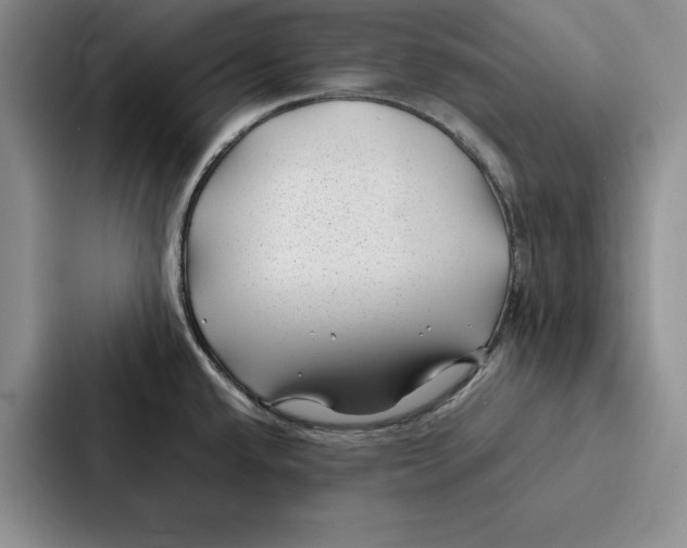 X0000086891432200705141614