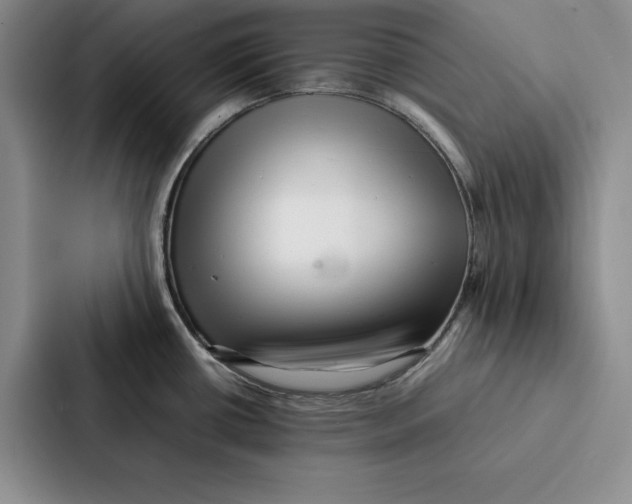 X0000086891434200705141614