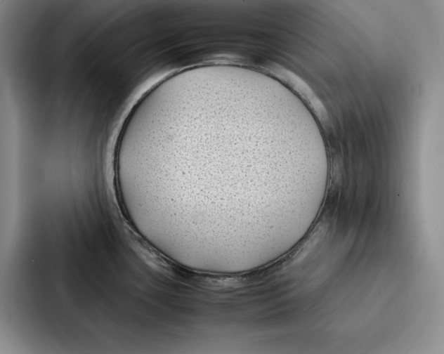 X0000086891435200705141614