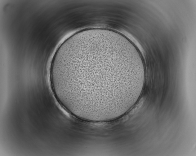 X0000086891437200705141614