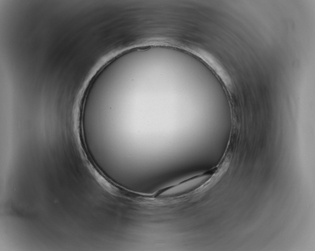 X0000086891438200705141614