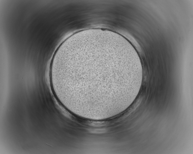 X0000086891439200705141614