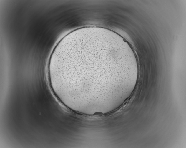 X0000086891440200705141614