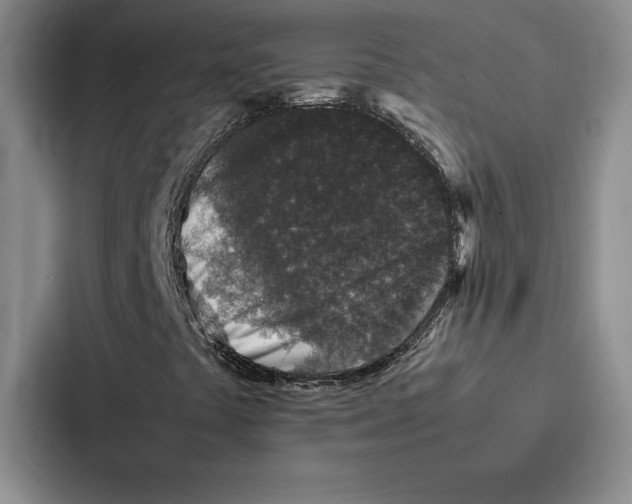 X0000086891441200705141613