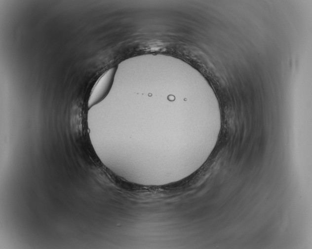 X0000086891442200705141613