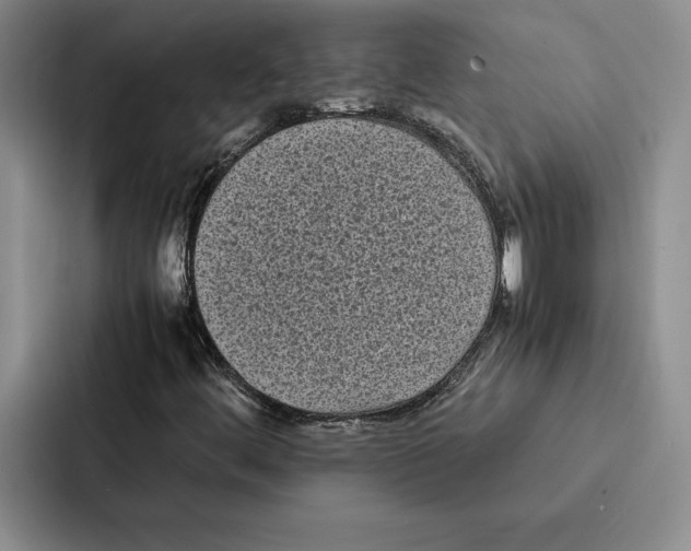 X0000086891444200705141613