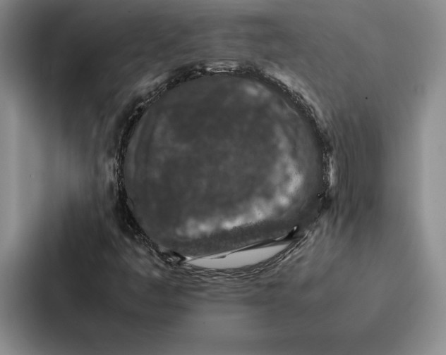 X0000086891445200705141613