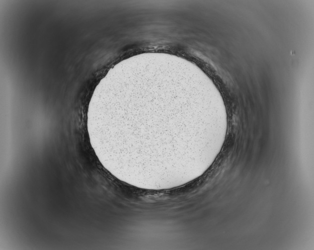 X0000086891447200705141613