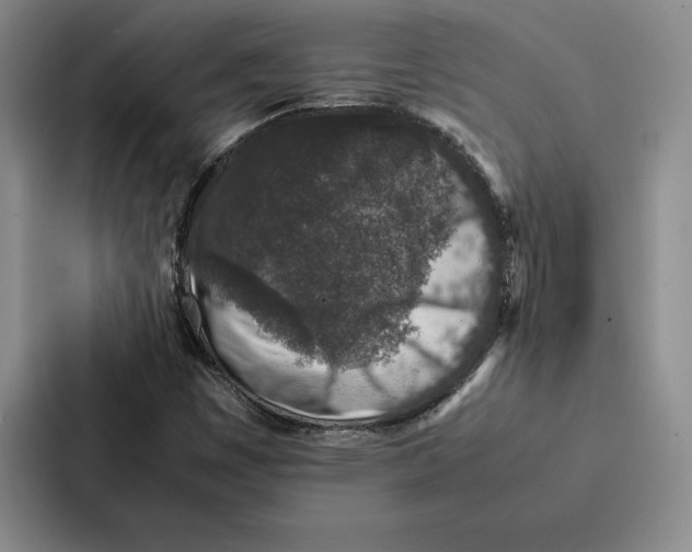 X0000086891449200705141613