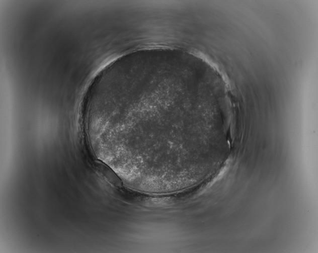 X0000086891453200705141613