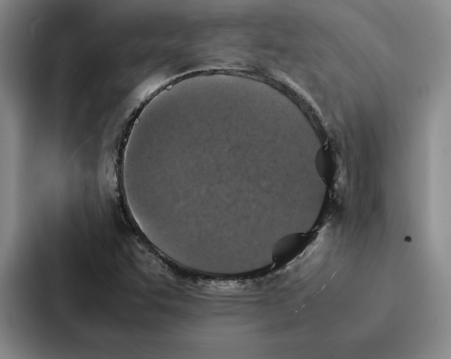 X0000086891455200705141613