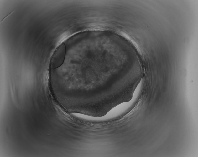 X0000086891459200705141613