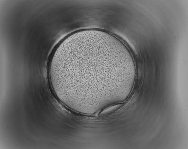 X0000086891460200705141613