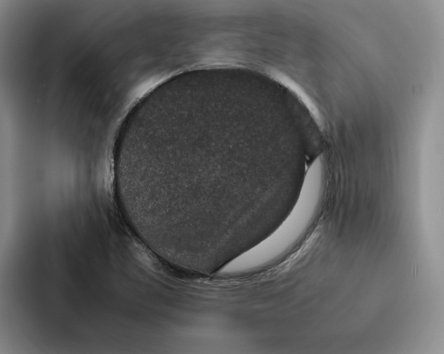 X0000086891461200705141613