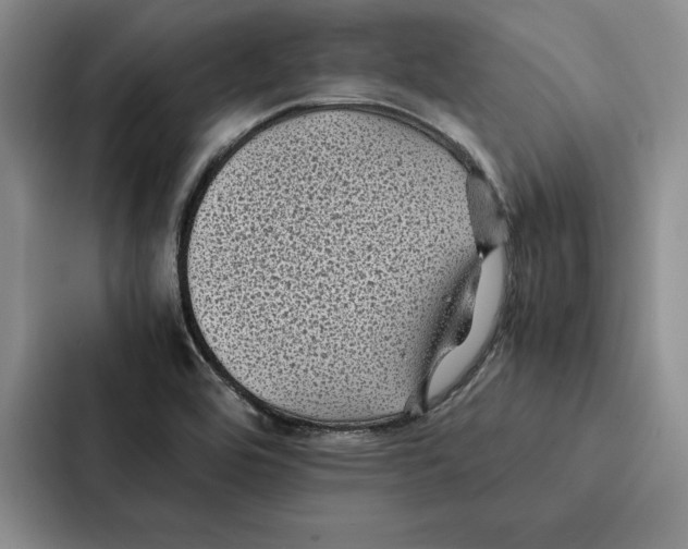 X0000086891464200705141613