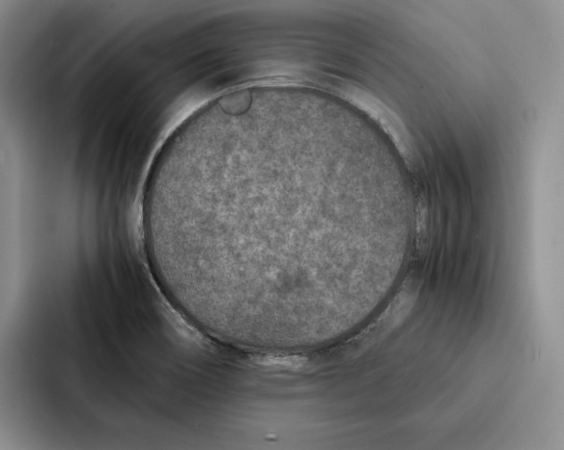 X0000086891466200705141613