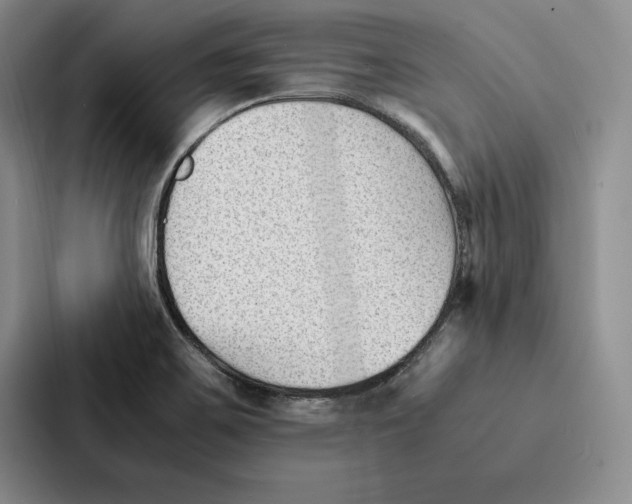 X0000086891467200705141613