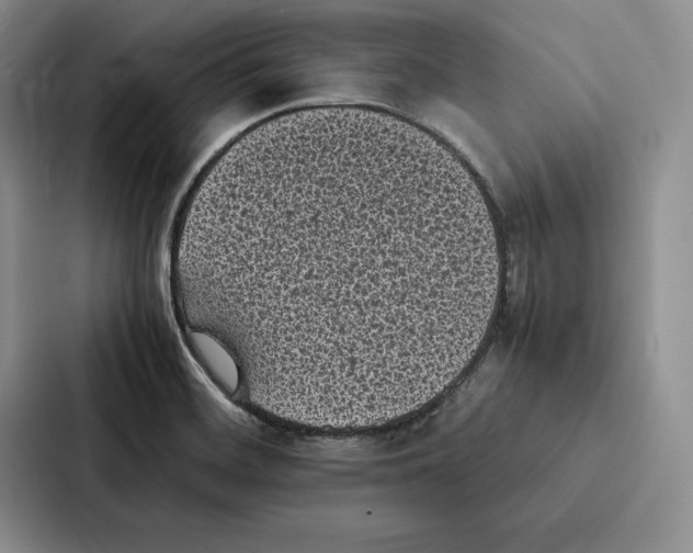 X0000086891468200705141613