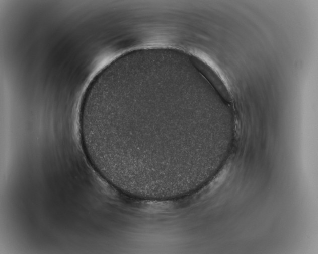 X0000086891469200705141613