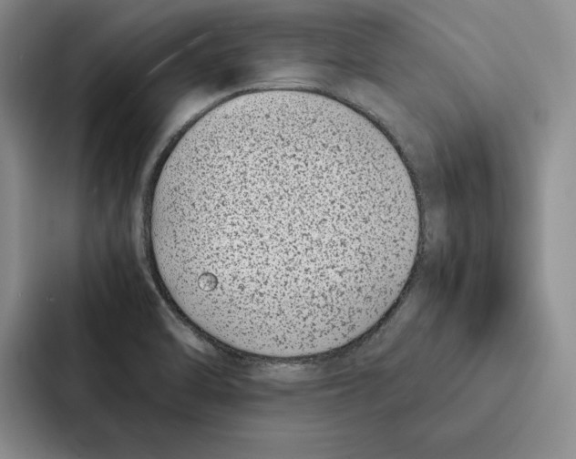 X0000086891470200705141613