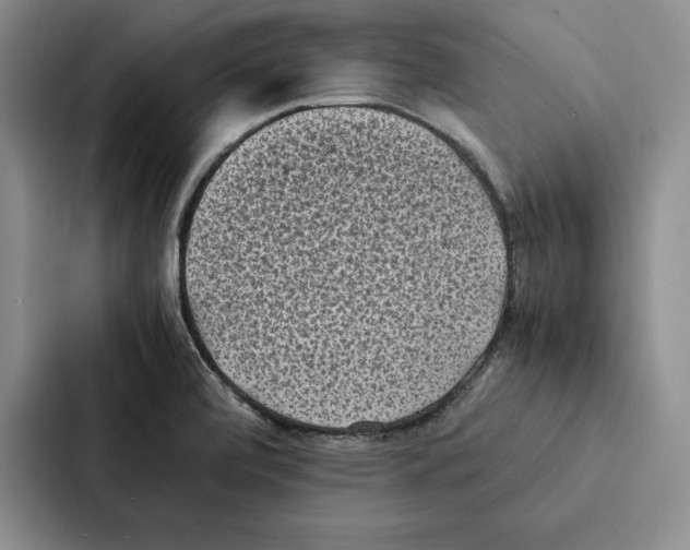 X0000086891472200705141613