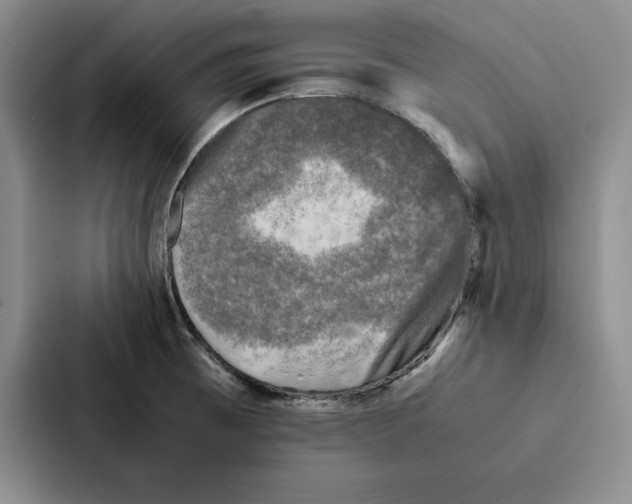 X0000086891473200705141613